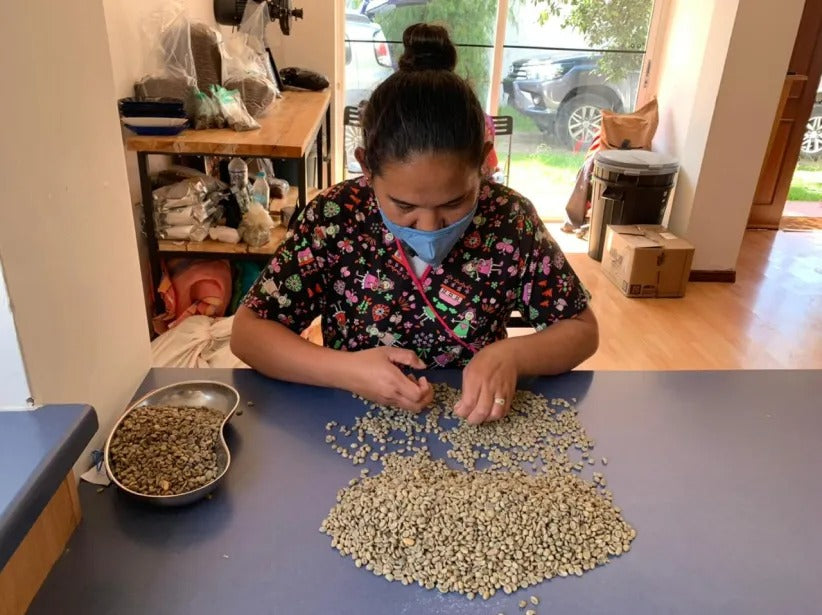 Bohnensortierung per Hand